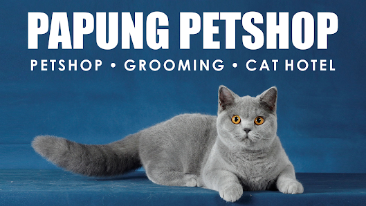 PAPUNG GROOMING