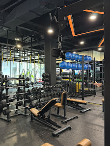 paradigm fitness Kelapa Gading