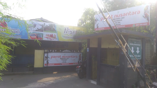 Parrot Nusantara