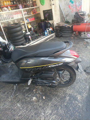 Pature Motor
