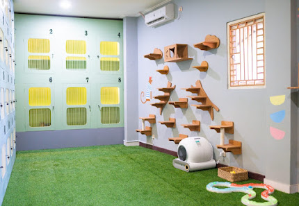 Pawcat Hotel & Grooming