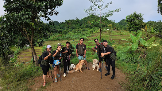 PAWSLAND