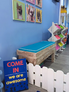 PawzBali Pet Resort - Pet Shop & Pet Grooming & Pet Boarding in Bali