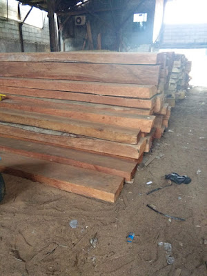 PD S.A Sumber Alam Kayu