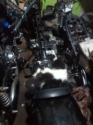 PDR MOTOR KANG RAHMAT