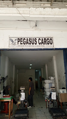 Pegasus Cargo (Pegasus Trans Nusantara)