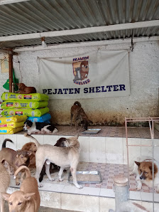 Pejaten Animal Shelter
