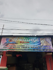 PELANGI KICAU