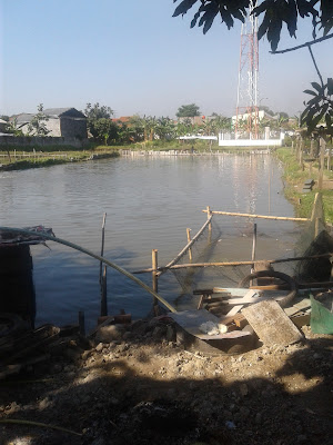Pemancingan Nila Stasiun Jerakah