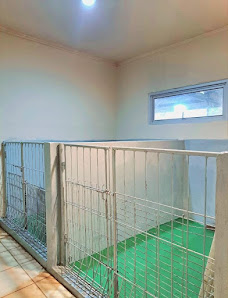 PET HOTEL JAKARTA
