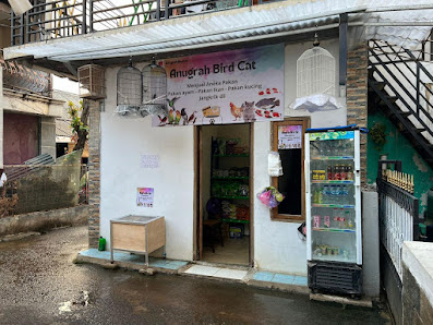 Pet Shop AnugrahBridCat