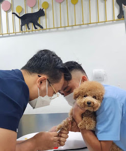 Petologi Veterinary Center | Dokter Hewan Bintaro