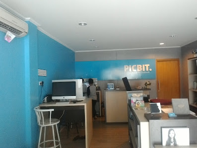 PICBIT