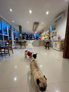 Playdog Mansion