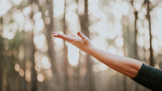 Podoyoga Private Onsite & Online Yoga Classes