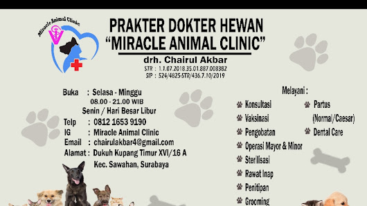 PRAKTEK DOKTER HEWAN MIRACLE ANIMAL CLINIC