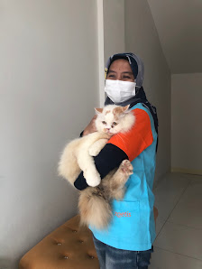 Praktek Dokter Hewan Mulyo Vet Cibubur 2
