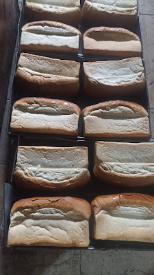 Pt Roti Nusantara Prima