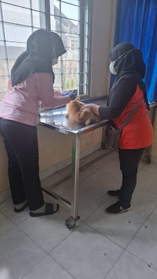 Puskeswan Depok