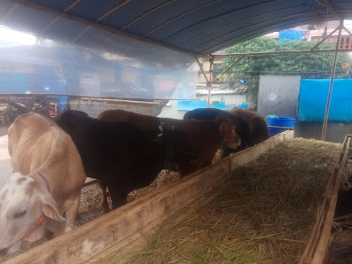 Rahmat qurban