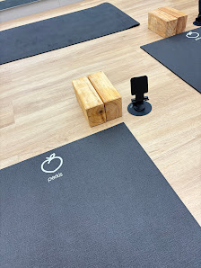 Rasa Studio