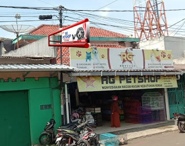 RG Petshop & GROOMING