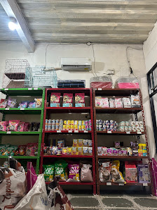 Rini Kembar Petshop 3