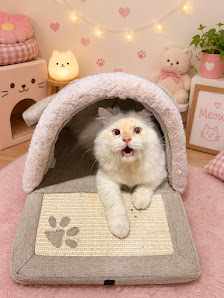 RinRin Pet Care & Cat Hotel