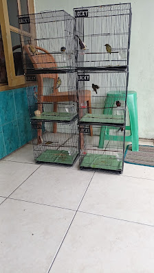 Rumah konin cawang