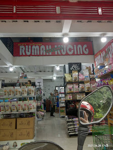 Rumah kucing betawi - grosir hamster