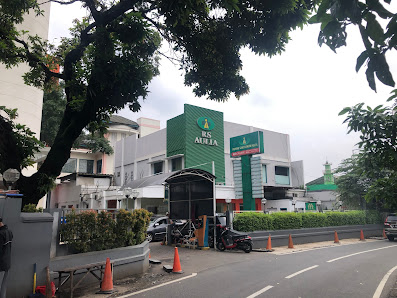 Rumah Sakit Aulia
