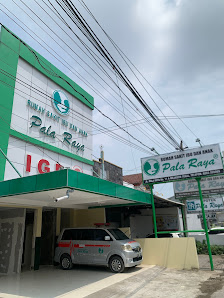 Rumah Sakit Ibu Dan Anak Pala Raya