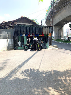 Sania Jok Motor Cipulir