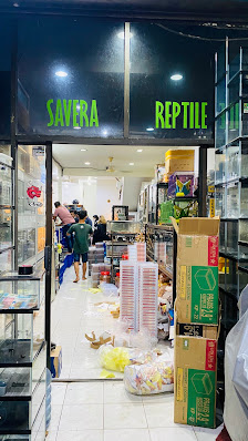 Savera Reptile
