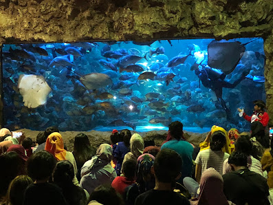Sea World Indonesia