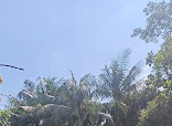 Sedot wc jasa muda