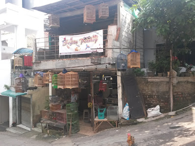 Segitu Petshop Jakarta