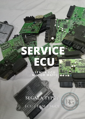 service ECU motor (revzias)