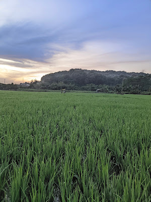 Shelter Taman Wonosari Semarang