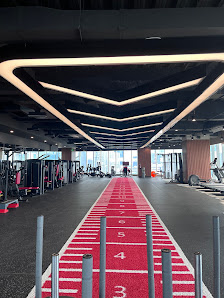 SINERGI FIT