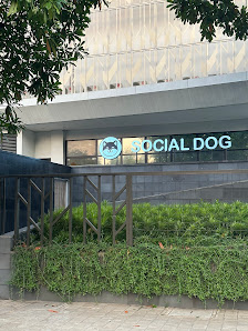 Social Dog Aerium