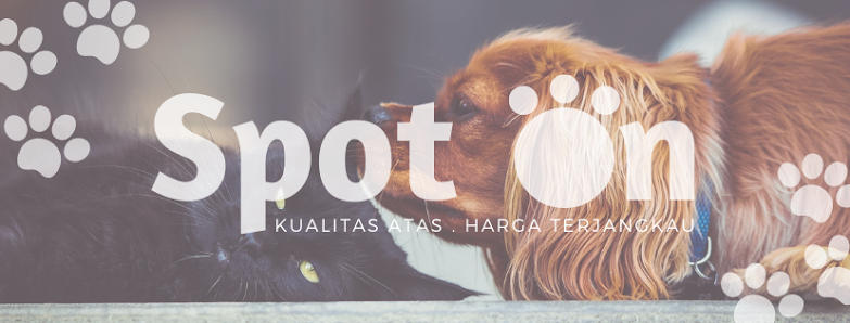 Spot On - Pet Boutique