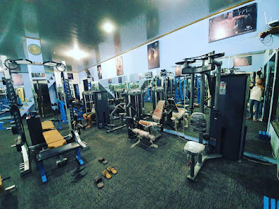 Steel Gym & Fitness