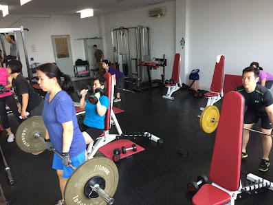Stellar Performance Fitness by Fitness Indonesia