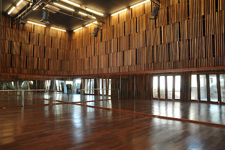 Studio Tari Salihara