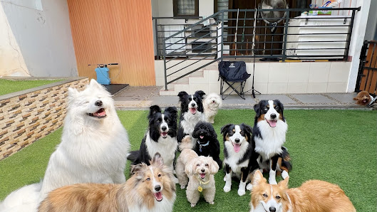 Summer Winter Dog Hotel