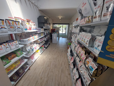 Surabaya Animal Clinic (SAC) | Klinik Hewan | Petshop & Pet Hotel