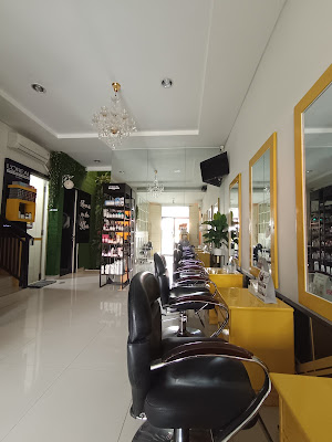 SWAN SALON