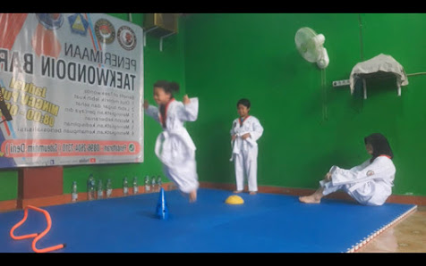 Taekwondo NLIONS