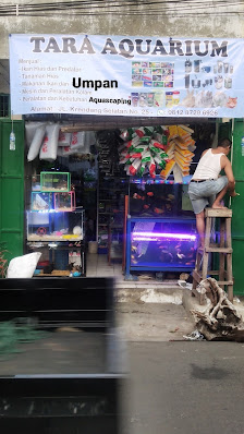 Tara Aquarium